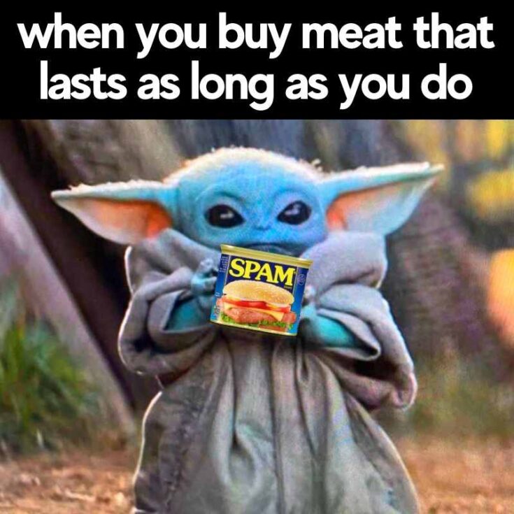 Spam Memes 15 Funny Images Of Processed Canned Meat