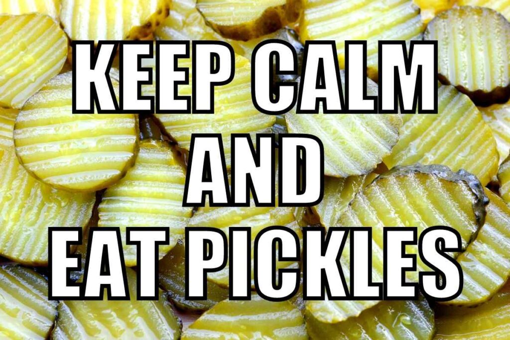 Pickle Memes And Puns 20+ Funny Images That Are A Big Dill