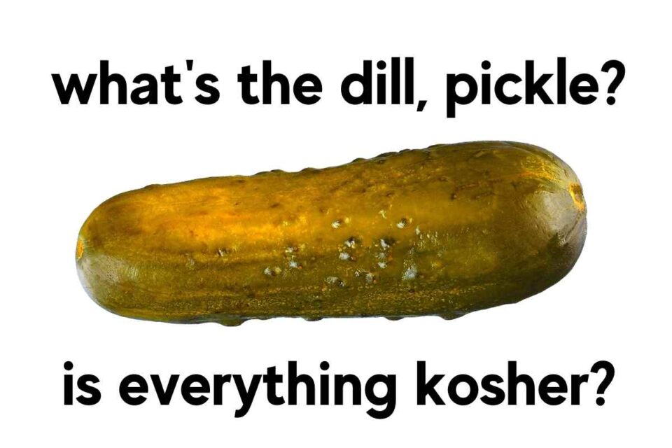 Pickle Memes And Puns 20+ Funny Images That Are A Big Dill