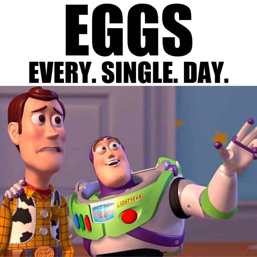 Egg Memes 25+ Funny Images That Will Crack You Up!