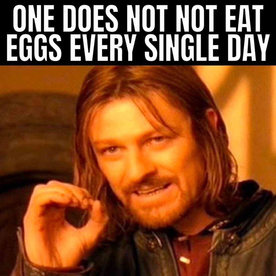 Egg Memes 25+ Funny Images That Will Crack You Up!