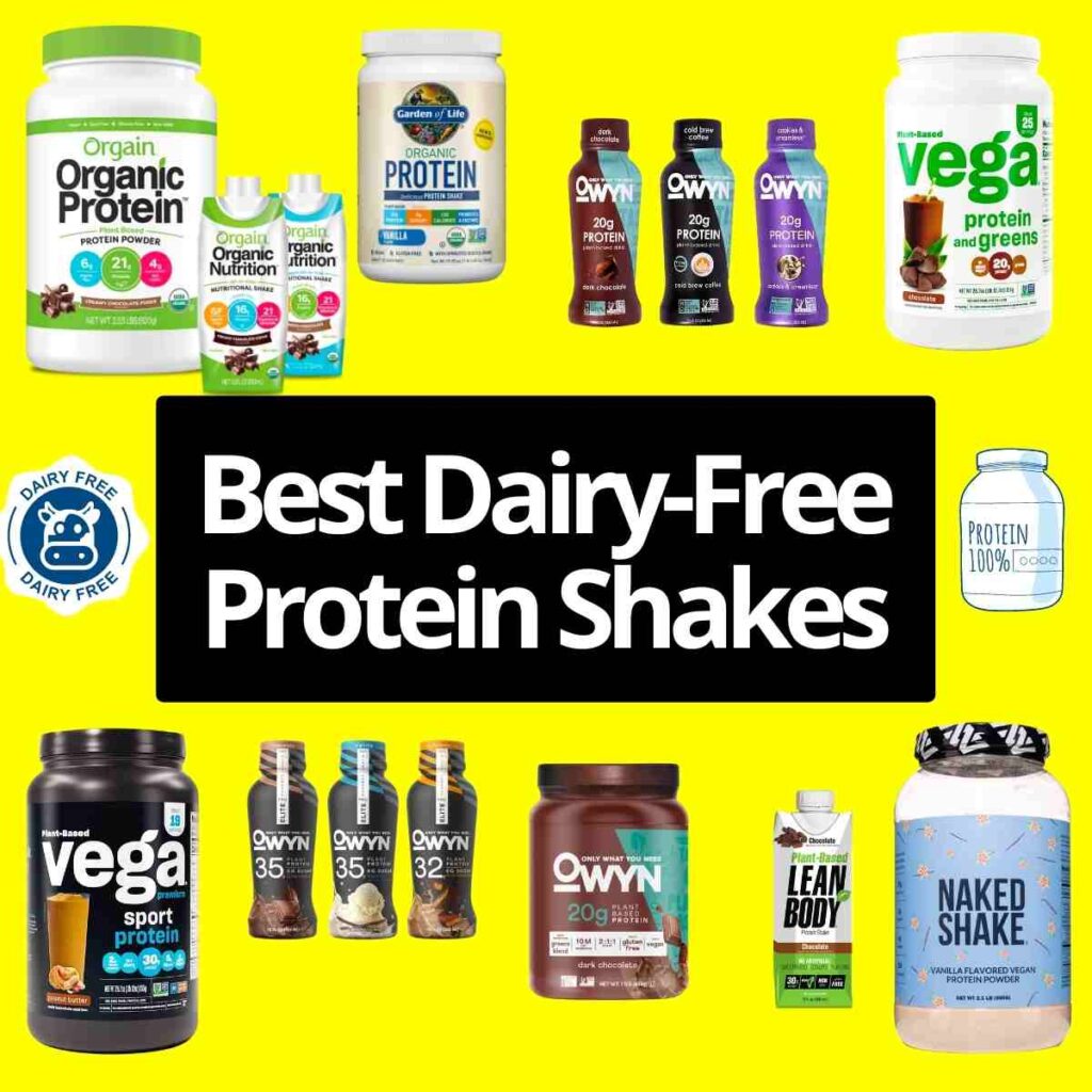 Best Dairy Free Protein Shakes